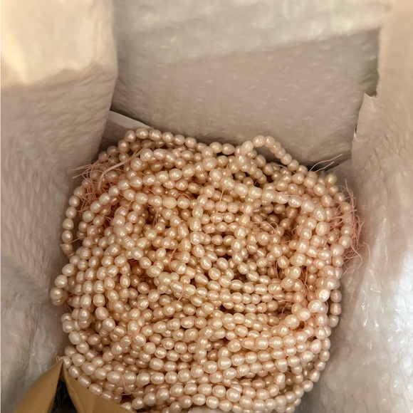 Ivy - Picture 3 of 15